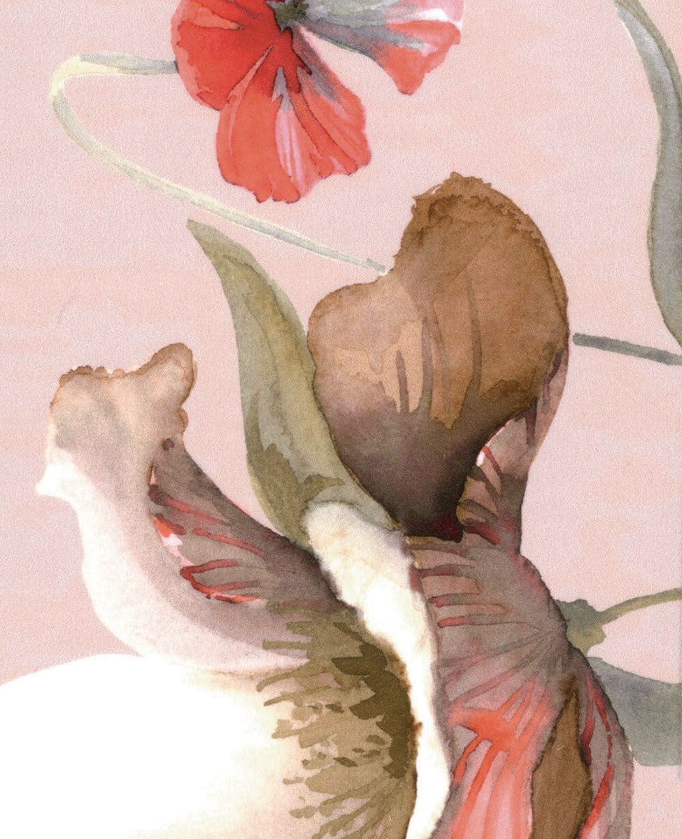 Trapunta Matrimoniale Fleurette Blumarine