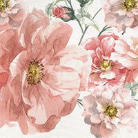 Set 3 canovacci Zelda Blumarine