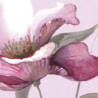 Completo Lenzuola In Raso Di Cotone Fleurette Blumarine