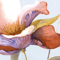 Completo Lenzuola In Raso Di Cotone Fleurette Blumarine