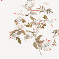 Completo Lenzuola In Raso Di Cotone Gelsomino Blumarine