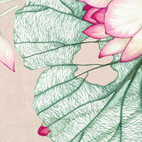 Trapunta Matrimoniale Blumarine Loto