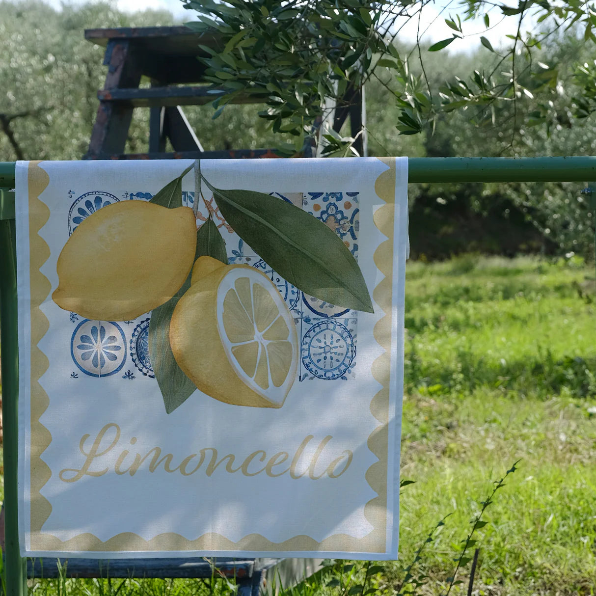 Set 2 Canovacci stampa digitale 100% cotone Limoncello by PETRACCHI