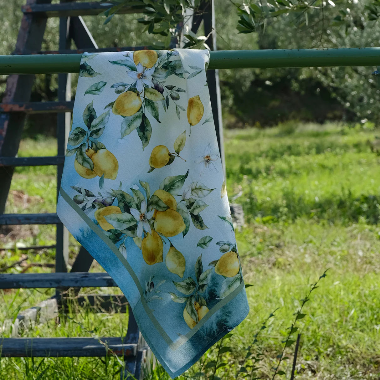 Set 2 Canovacci stampa digitale 100% cotone Mediterraneo by PETRACCHI