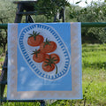 Set 2 Canovacci stampa digitale 100% cotone Pomodori by PETRACCHI