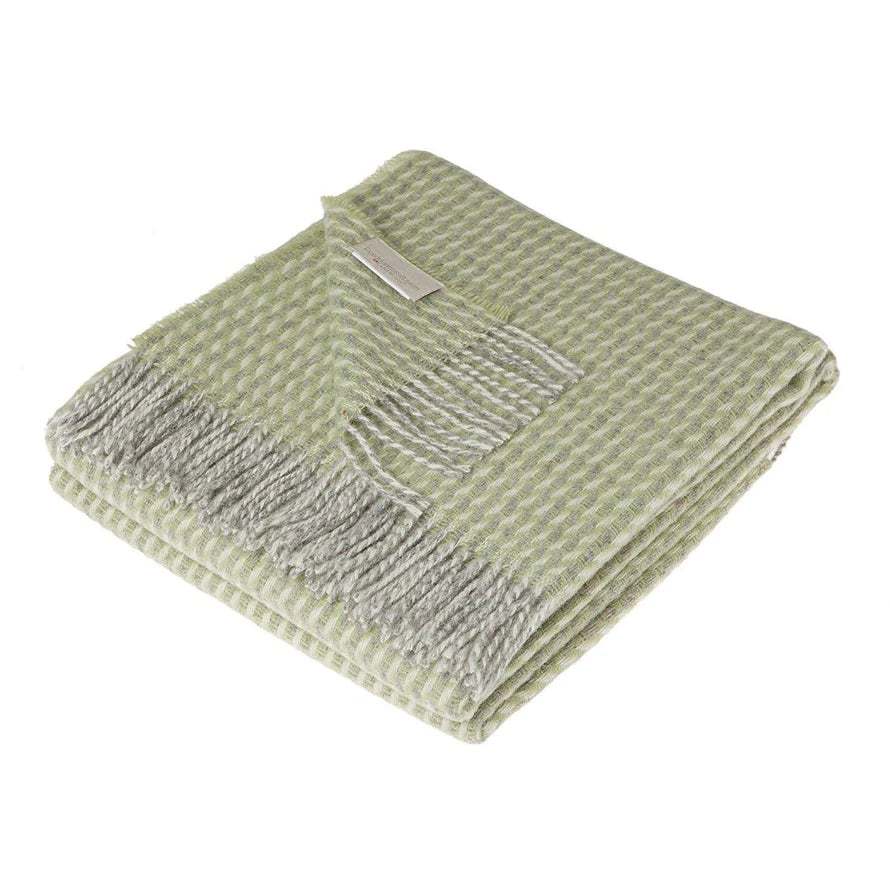 PLAID IN PURE VIRGIN SOLID COLOR WOOL - ISEO